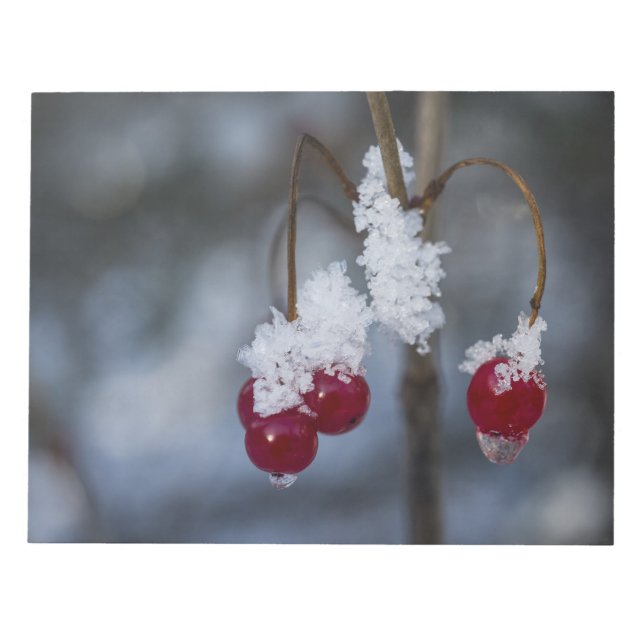 Frosted Berries Anteckningsblock (Framsida)