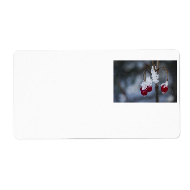 Frosted Berries Fraktsedel (Framsidan)