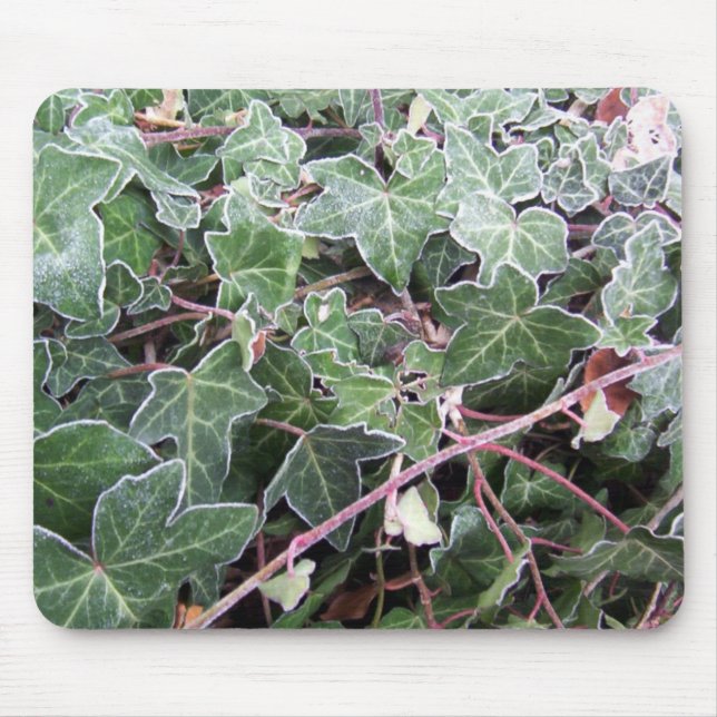 Frosted Ivy Mousepad Musmatta (Framsidan)