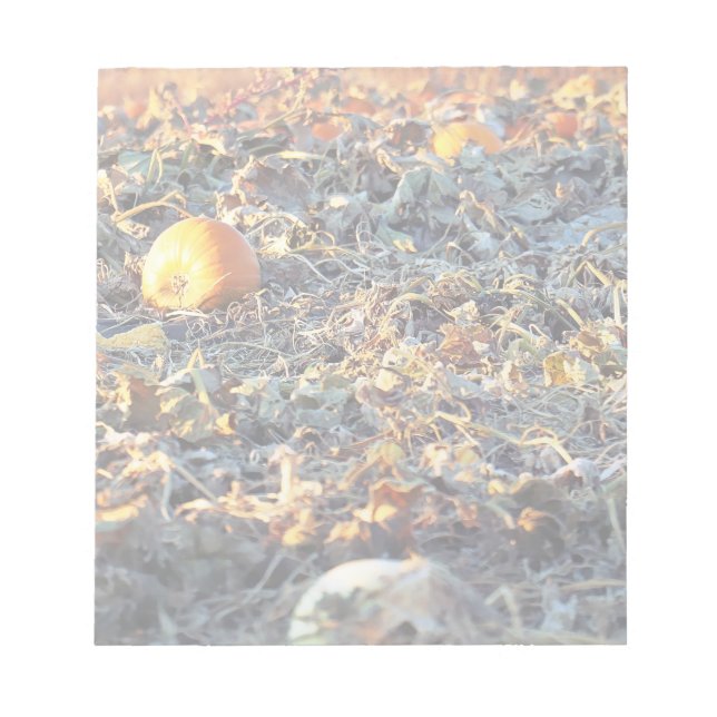 Frosted Pumpkin Patch Anteckningsblock (Framsida)