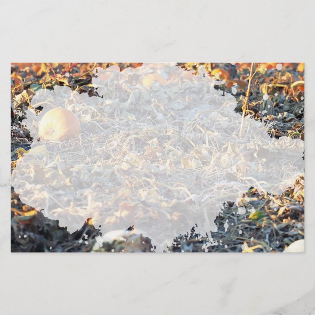 Frosted Pumpkin Patch Brevpapper (Framsida)