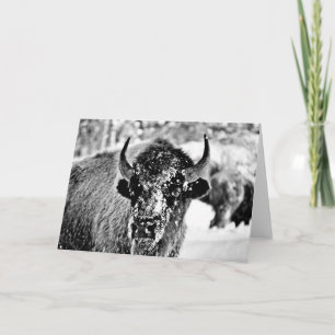 Frostig Yellowstone Bison Kort