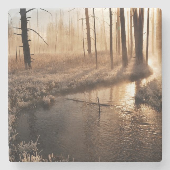 Frostig Yellowstone morgon Stenunderlägg (Framsidan)