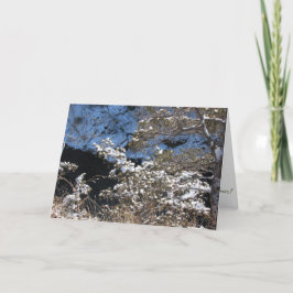 "Frostiga tallar" julkort Kort