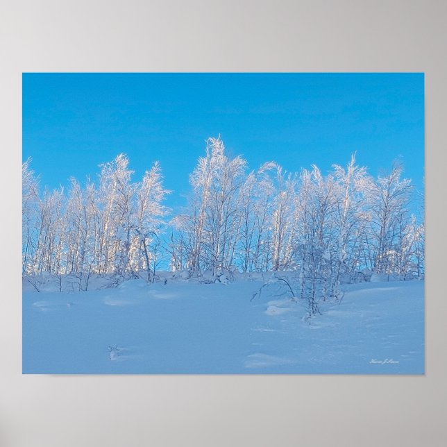 Frostiga träd poster (Framsidan)