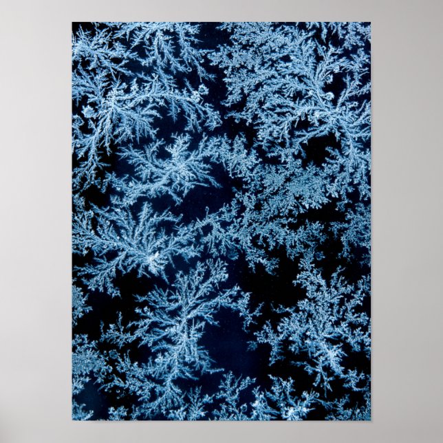 Frostmönster närbild, Kalifornien Poster (Framsidan)