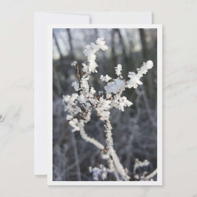  „Frostpoesie – Einladung mit Raureif-Zweig“ Kort (Framsida)