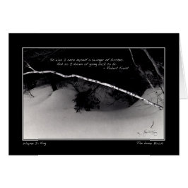 Frosts Birch Dream Hälsningskort