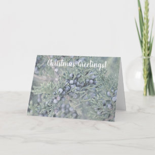 Frosty Blue Berries Helgdag Card Kort