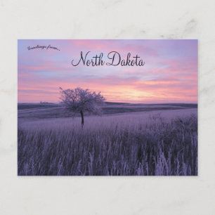 Frosty Erlenbusch Sunrise North Dakota Vykort