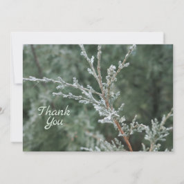 Frosty Evergreen God Jul Nature Photo Tack Kort