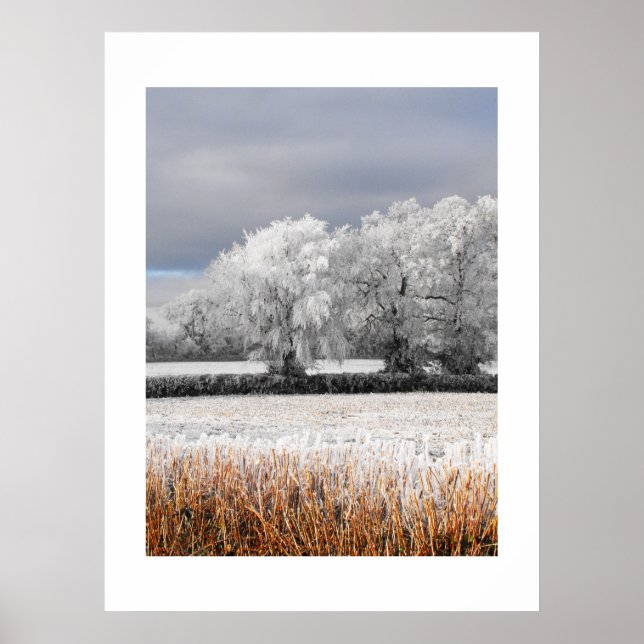 Frosty fält och träd poster (Framsidan)