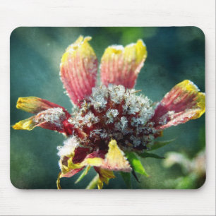 Frosty Flower Musmatta