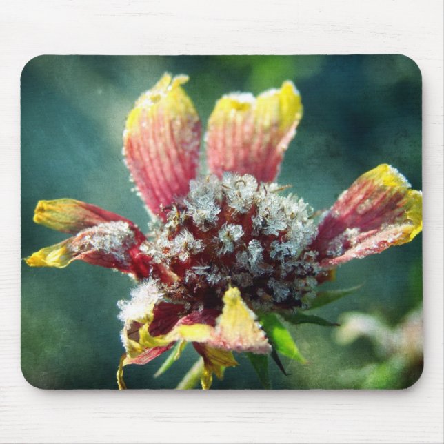Frosty Flower Musmatta (Framsidan)