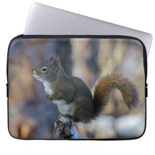 Frosty Forager: Canadian Winter Squirrel Laptop Fodral