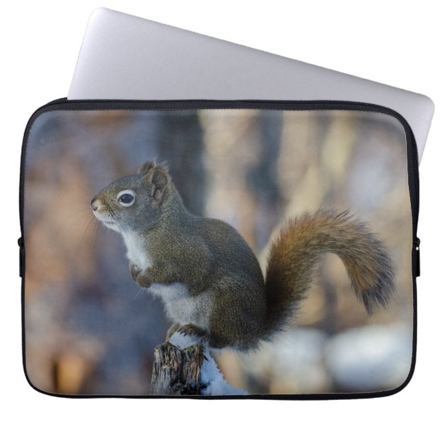 Frosty Forager: Canadian Winter Squirrel Laptop Fodral (Framsidan)