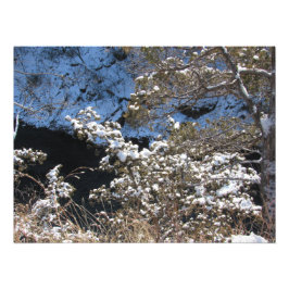 ’Frosty Gräs’ Fototryck