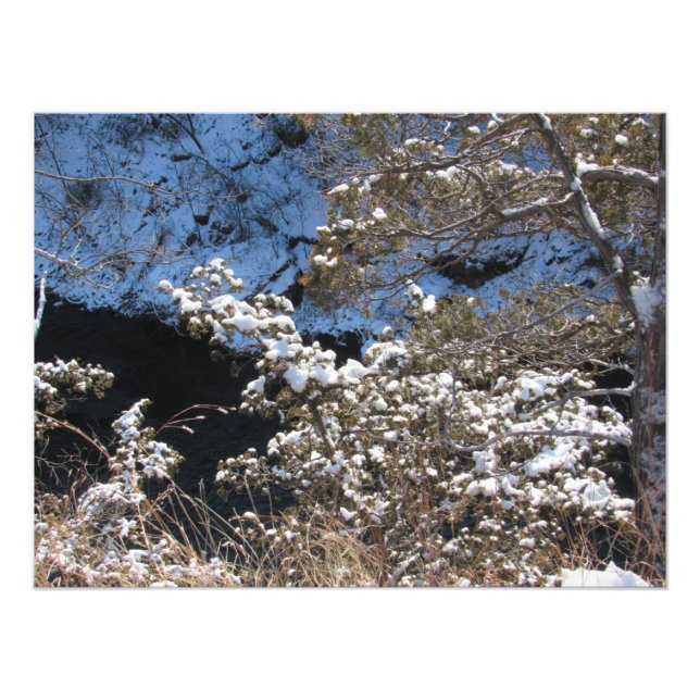 ’Frosty Gräs’ Fototryck (Framsidan)