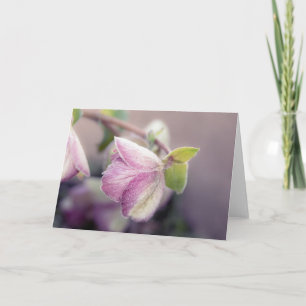 Frosty Helleborus Note Kort