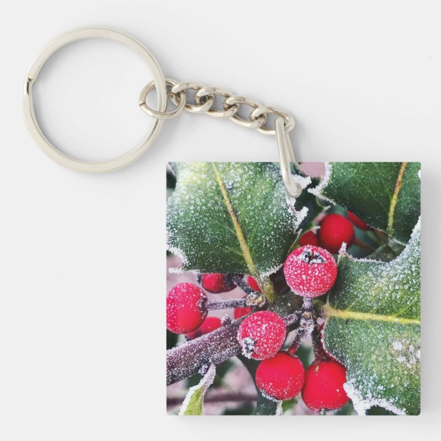 Frosty Holly (Framsidan)