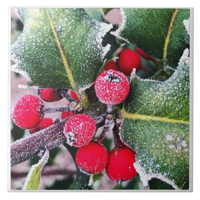 Frosty Holly Kakelplatta (Framsidan)