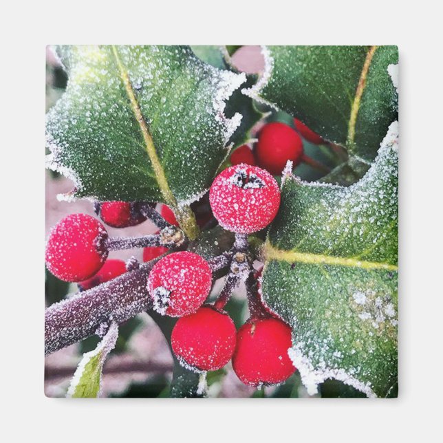 Frosty Holly Magnet (Framsidan)