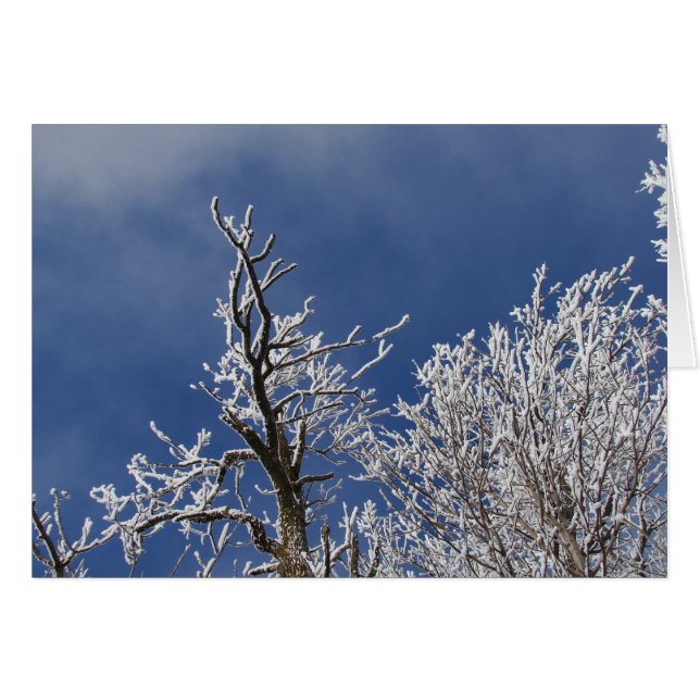 Frosty Iowa Aeftermiddag Hälsningskort (Framsidan Horizontal)