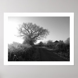 Frosty Morgon: Cheshire Poster