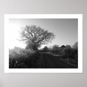 Frosty Morgon: Cheshire Poster
