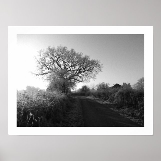 Frosty Morgon: Cheshire Poster (Framsidan)