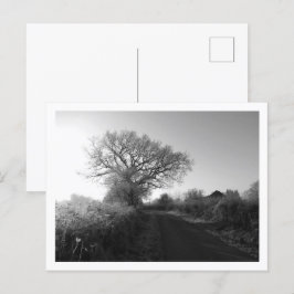 Frosty Morgon: Cheshire Vykort