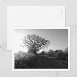 Frosty Morgon: Cheshire Vykort