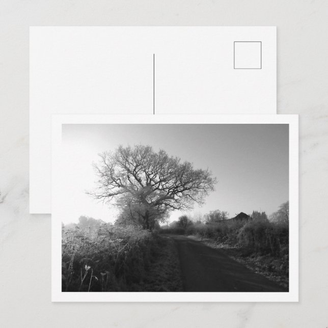 Frosty Morgon: Cheshire Vykort (Fram/baksida)