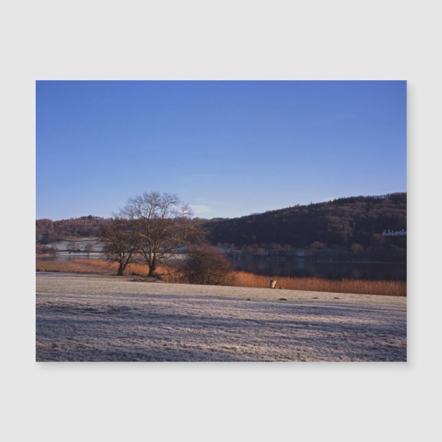 Frosty Morgon Esthwaite Vatten Cumbria England (Framsida)