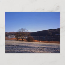 Frosty Morgon Esthwaite Vatten Cumbria England Vykort