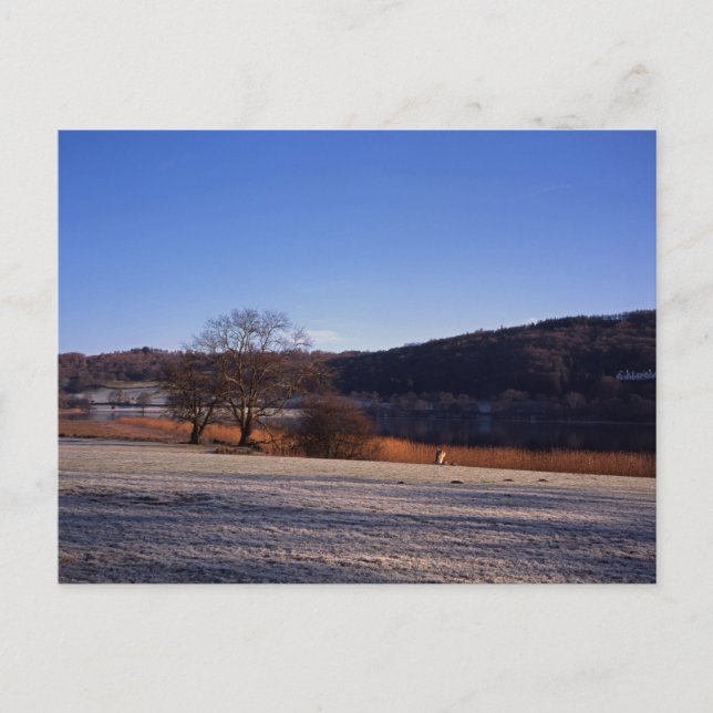 Frosty Morgon Esthwaite Vatten Cumbria England Vykort (Framsida)