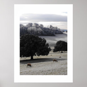 Frosty Morgon Poster