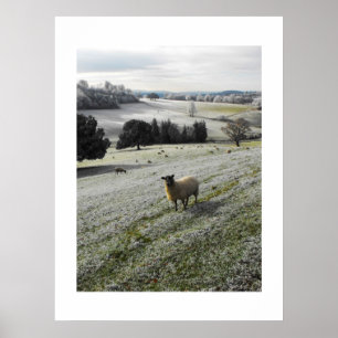 Frosty Morgon Poster