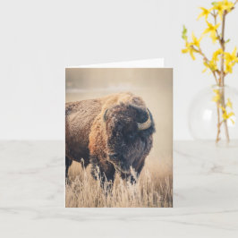 Frosty Morning - 4" x 5.6" Notecard Kort