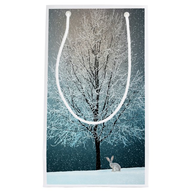 Frosty träd på kvällen (Framsidan)