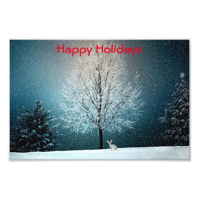 Frosty träd på kvällen fototryck (Framsidan)