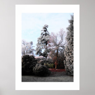 Frosty träd poster
