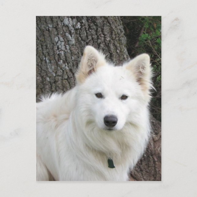 Frosty Vykort (Framsida)