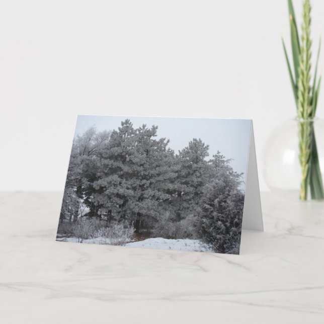 Frosty Winter Wonderland Helgkort (Framsida)