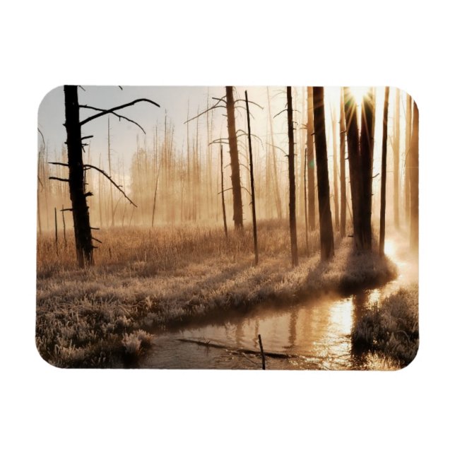 Frosty Yellowstone-morgon Magnet (Horisontell)
