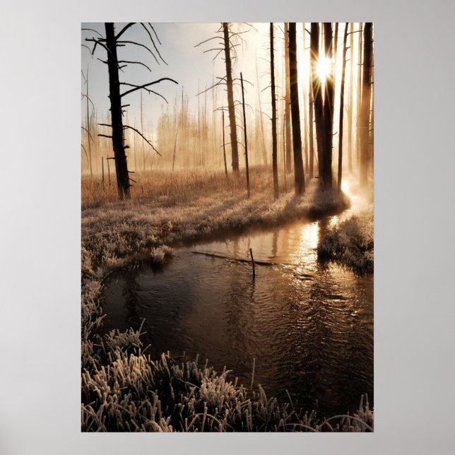 Frosty Yellowstone-morgon Poster (Framsidan)