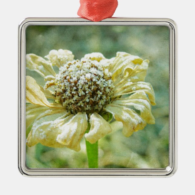 Frosty Zinna Julgransprydnad Metall (Framsidan)