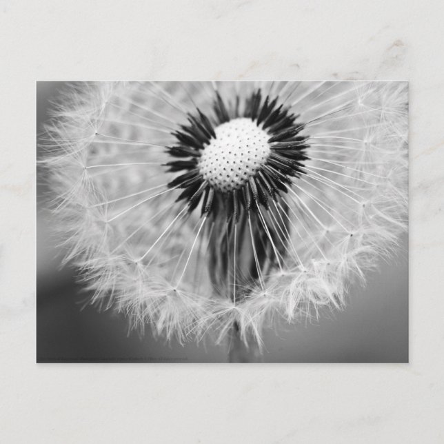 Fröt av i morgon vykort (Framsida)