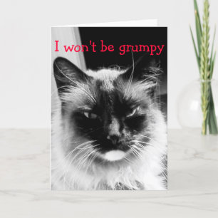 Frowning katt för lyckliga valentin dag helgkort