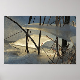 Frozen Marsh Ice Maine Winter Scenery Poster